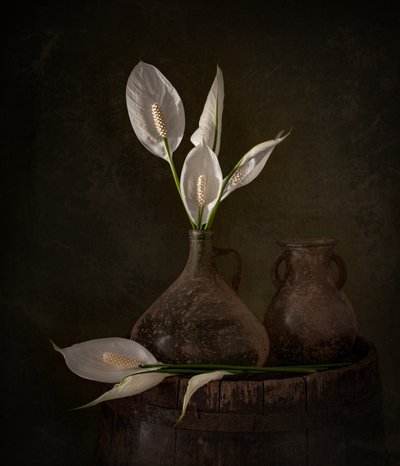 Stimmungsvolle Friedenslilien von Margareth Perfoncio
