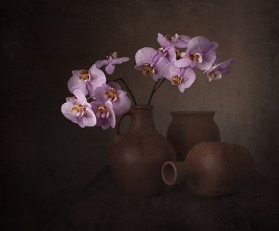 Lila Orchidee Stillleben von Margareth Perfoncio