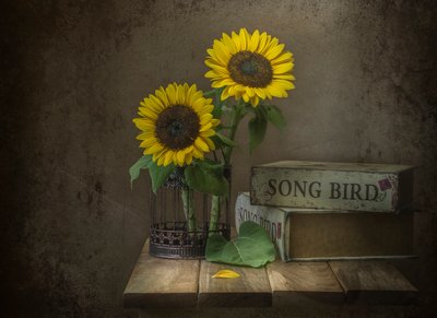 Rustikale Sonnenblumen und Singvogel von Margareth Perfoncio