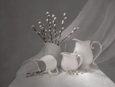 Frühlingsweidenkrüge von Margareth Perfoncio