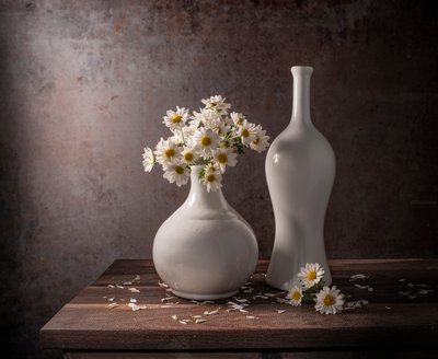 Weiße Gänseblümchen-Stillleben von Margareth Perfoncio