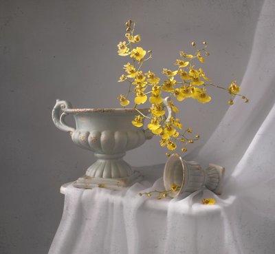 Gelbe Orchidee Stillleben von Margareth Perfoncio