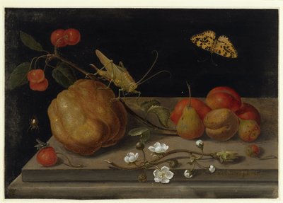 Stillleben mit Früchten, einer Heuschrecke und einem Schmetterling von Maria Sibylla Merian