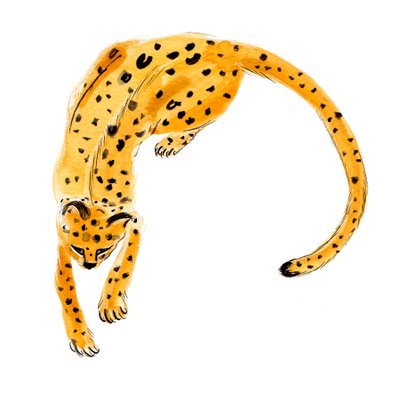 Gekräuselter Leopard von Marianna Kulukundis