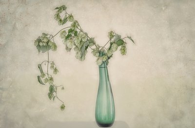 Grünes Hopfen-Stillleben von Marie-anne Stas