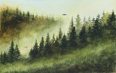 Nebliger immergrüner Wald von Marina Kozyr