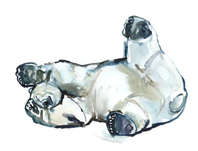 Schnee Rub (Eisbär), 2013 von Mark Adlington