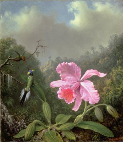Stillleben mit einer Orchidee und einem Paar Kolibris, ca. 1890er von Martin Johnson Heade
