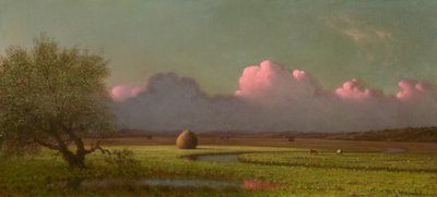 Sonnenlicht und Schatten: Die Marschen von Newbury von Martin Johnson Heade