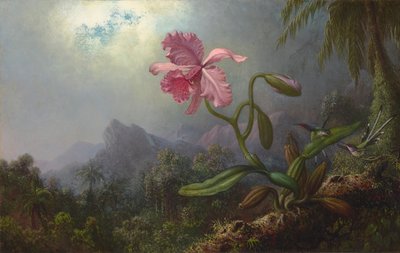 Zwei Kolibris mit einer Orchidee 1875 von Martin Johnson Heade