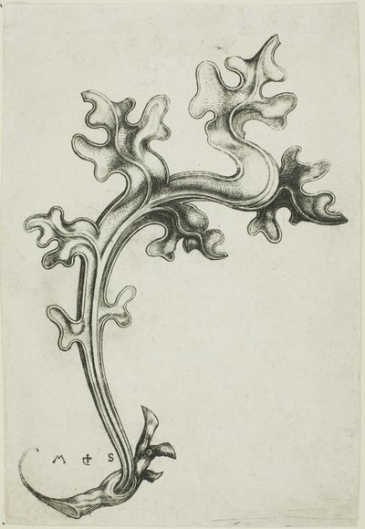 Blattornament von Martin Schongauer