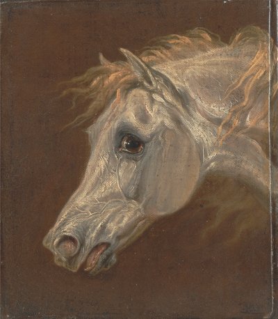 Kopf eines grauen arabischen Pferdes von Martin Theodore Ward