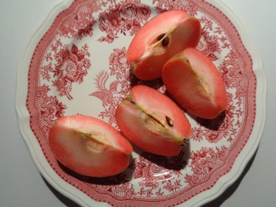 Porzellanteller von Villeroy und Boch mit rotem Apfel von Martina Konitzky