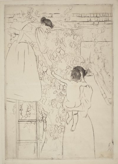 Früchte sammeln von Mary Cassatt