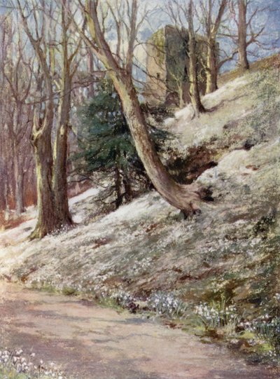 Schottische Gärten: Ardgowan von Mary Georgina Wade Wilson