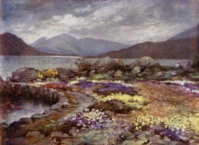 Schottische Gärten: Corrour von Mary Georgina Wade Wilson