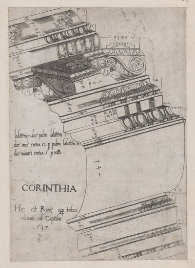 Speculum Romanae Magnificentiae: Gebälk vom Tempel des Vespasian, Rom, 1537 von Master PS
