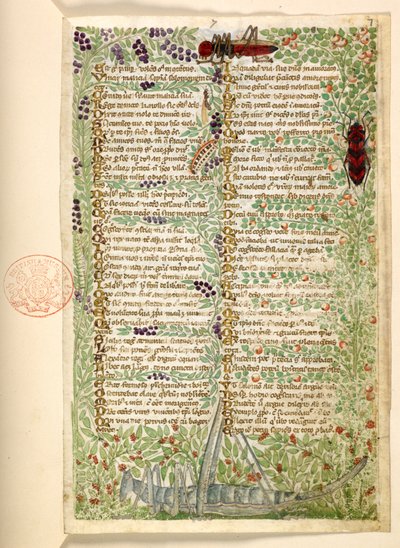 Blumen, Früchte und Insekten, einschließlich einer Heuschrecke und einer Heuschrecke, aus einer Abhandlung über die Tugenden und Laster und eine anonyme Prosa-Geschichte Siziliens (Fragment) von Master of the Cocharelli Codex
