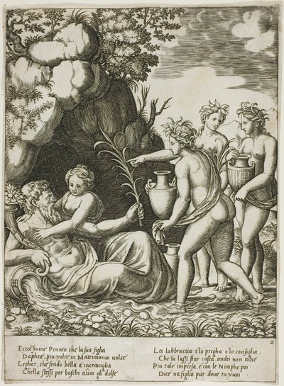 Daphne umarmt ihren Vater, den Fluss Peneus von Master of the Die