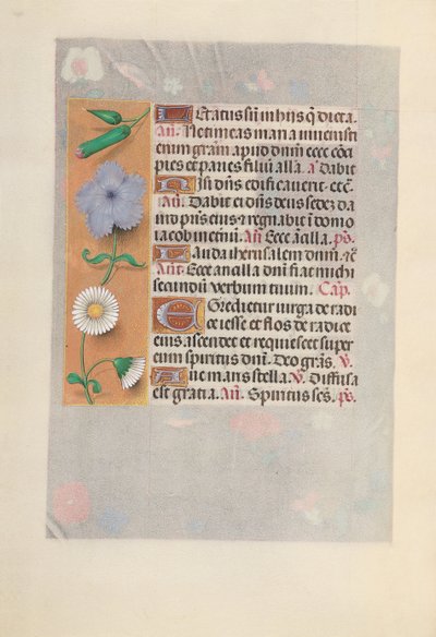 Stundenbuch der Königin Isabella die Katholische, Königin von Spanien: Fol. 160v, ca. 1500 von Master of the First Prayerbook of Maximillian