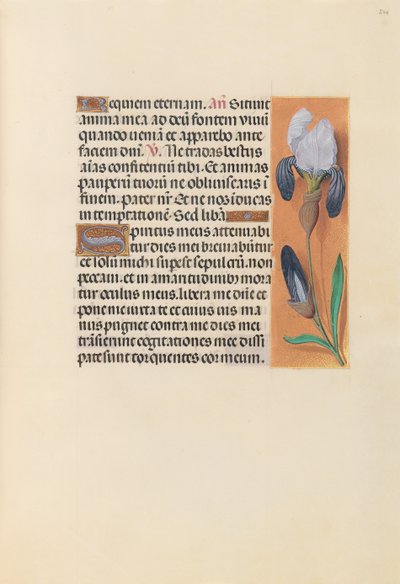 Stundenbuch der Königin Isabella der Katholischen, Königin von Spanien: Fol. 244r, ca. 1500 von Master of the First Prayerbook of Maximillian