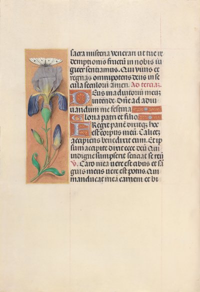 Stundenbuch der Königin Isabella die Katholische, Königin von Spanien: Fol. 45v, ca. 1500 von Master of the First Prayerbook of Maximillian
