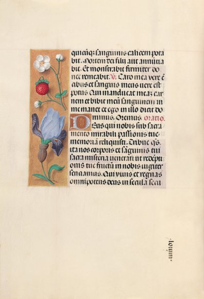 Stundenbuch der Königin Isabella der Katholischen, Königin von Spanien: Fol. 46v, um 1500 von Master of the First Prayerbook of Maximillian
