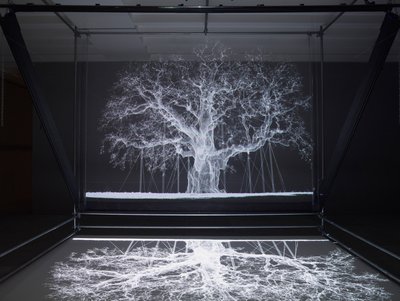 Albion, 2017 von Mat Collishaw