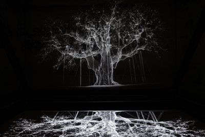 Albion von Mat Collishaw