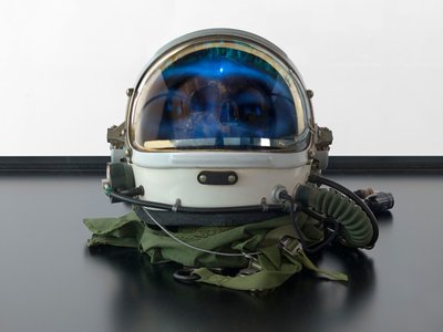 Alpha Omega, 2016 von Mat Collishaw