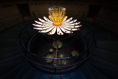 Tagundnachtgleiche von Mat Collishaw