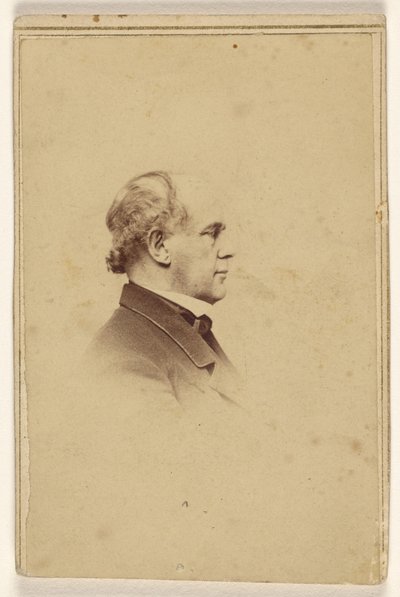 [Unbekannter Mann im Profil, im Vignettenstil gedruckt] von Mathew B. Brady
