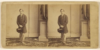 [Nicht identifizierter junger Mann mit Zylinder und Spazierstock, stehend] von Mathew B. Brady