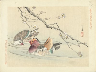 Zwei Enten (Blumen- und Vogelskizzen von Keibun - Teil eins) von Matsumura Keibun