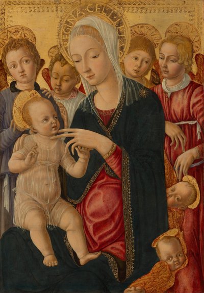 Madonna mit Kind, Engeln und Cherubim, um 1460-1465 von Matteo di (c.1430-95) Giovanni