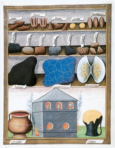 Le Livre des Simples Medecines, Ende 15., Anfang 16. Jahrhundert von Matthaeus Platearius