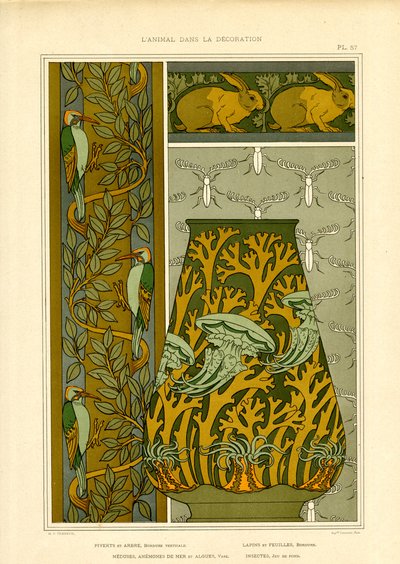 Jugendstil-Naturmotive: Vögel, Meeresleben und Insekten von Maurice Pillard Verneuil