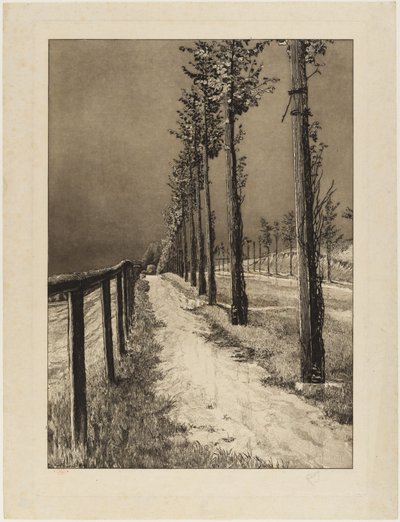 Die Chaussee (Vier Landschaften, Opus VII, Blatt 2) von Max Klinger