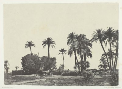 Dorf Hamameh, Oberägypten, 1849-51, gedruckt 1852 von Maxime Du Camp