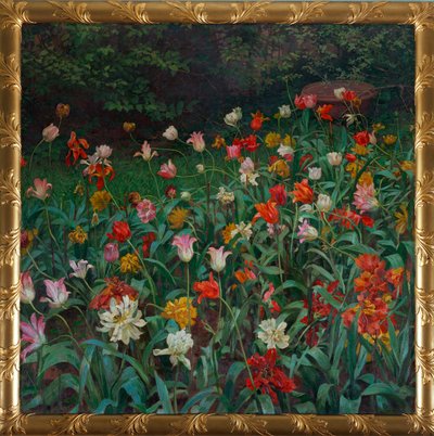 Tulpen von Maximilian Lenz