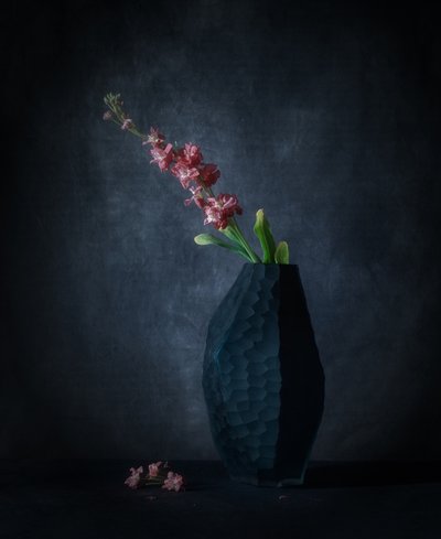 Dunkle Blumen Eleganz von May G