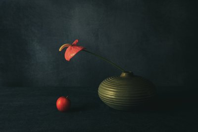 Rotes Anthurium Stillleben von May G
