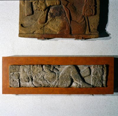 Sturzstein 27 aus Tonina, Chiapas, Mexiko, Späte Klassik (600-900 n. Chr.) von Mayan Mayan
