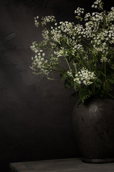 Stillleben mit weißen Wildblumen von Mayra Pama