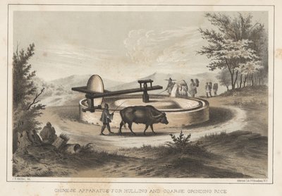 Chinesisches Gerät zum Schälen und groben Mahlen von Reis, 1855 von Meffert