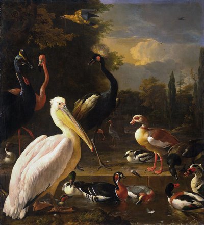 Ein Pelikan und andere Vögel in der Nähe eines Teiches, bekannt als 