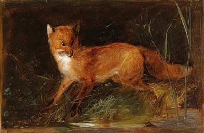 Meno Mühlig Fuchs von Meno Muhlig