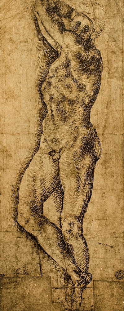 Männlicher Akt; Zeichnung von Michelangelo. Der Louvre, Paris von Michelangelo Buonarroti