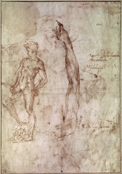 Studie für David von Michelangelo Buonarroti