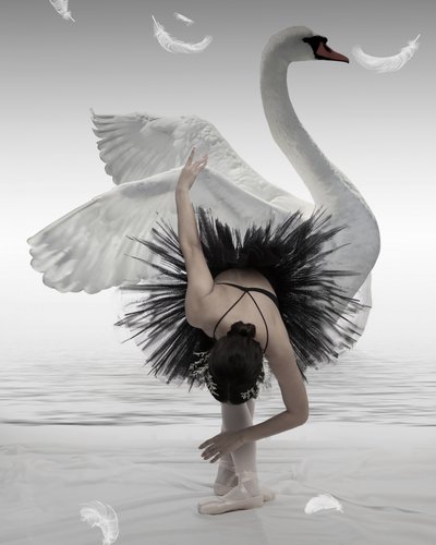 Schwarzer Schwan Ballerina von Mieke